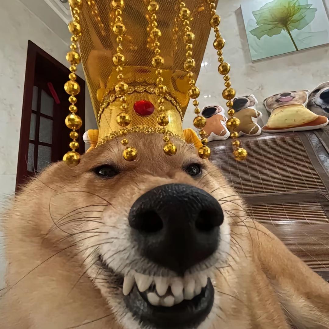 先睡一觉