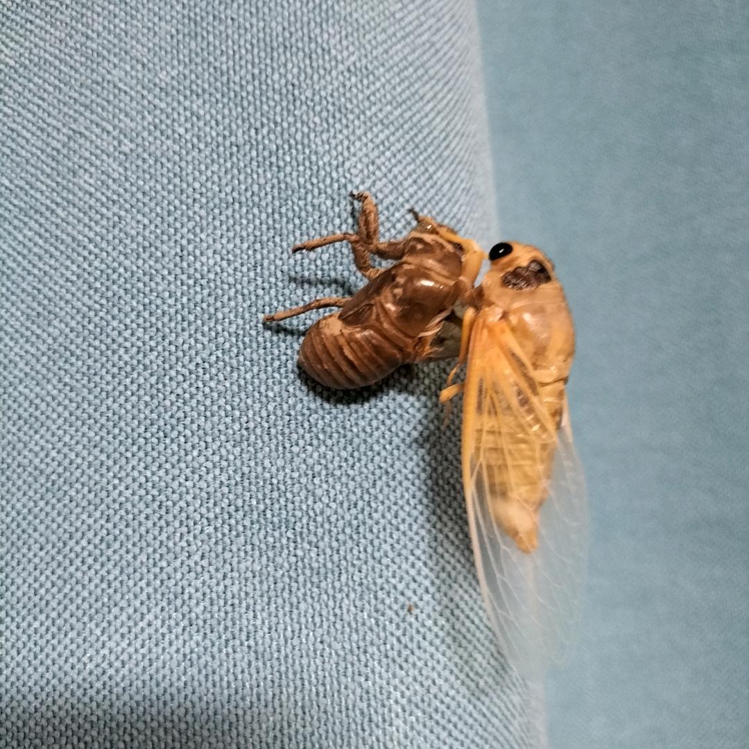 耐久禹居家百货