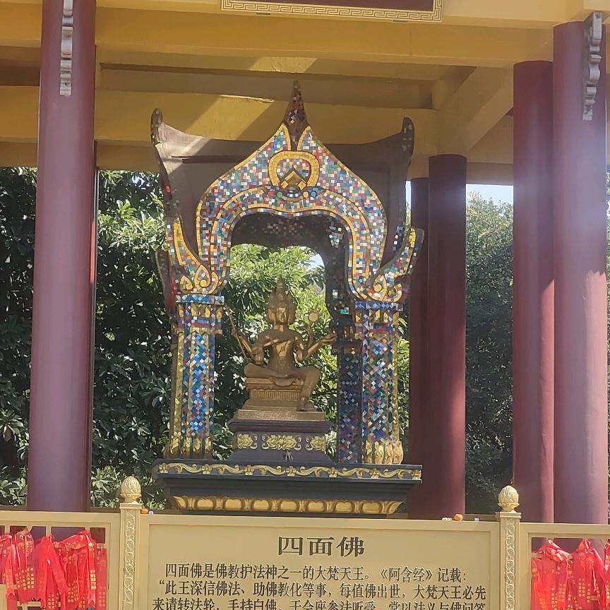 游戏人生