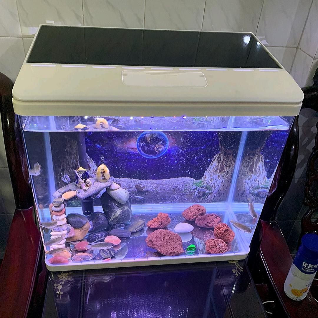 鱼多多水族厂家