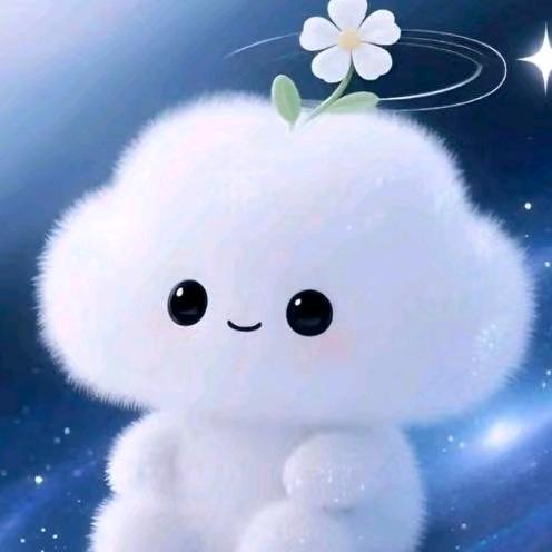 ✨流星雨🌠☁️✨