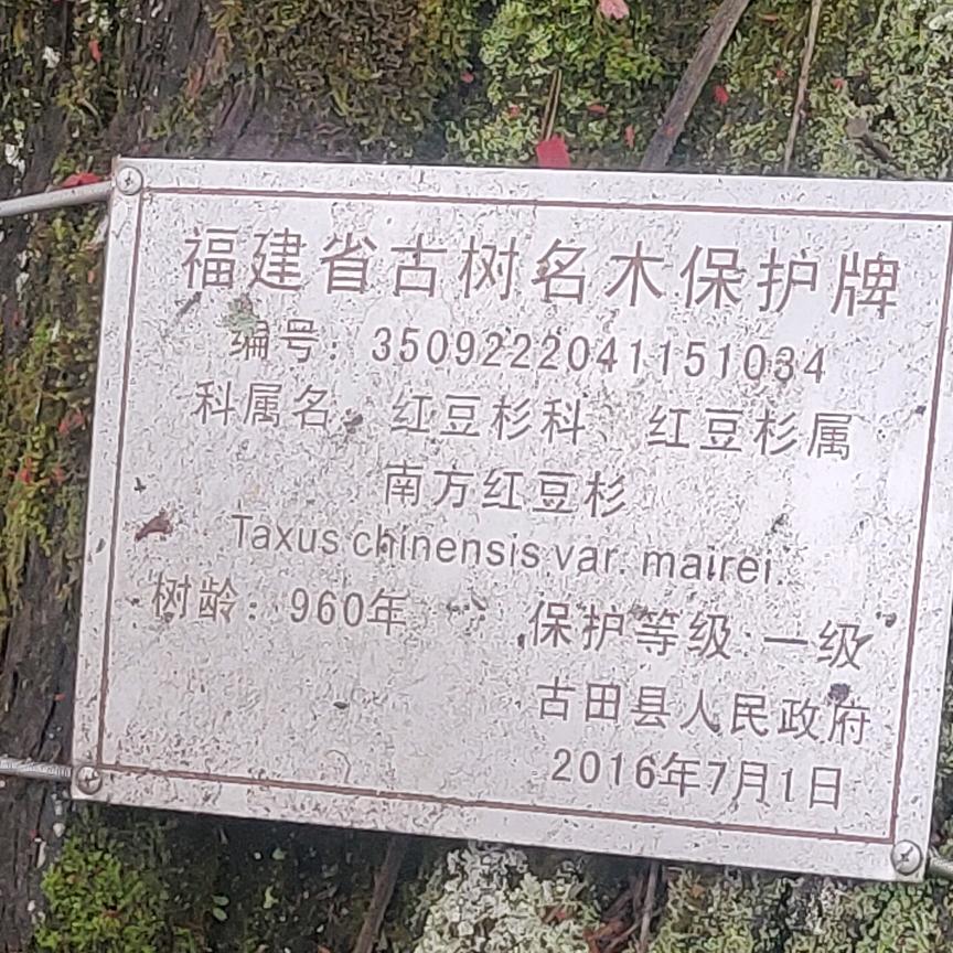 藏进一切不归头像
