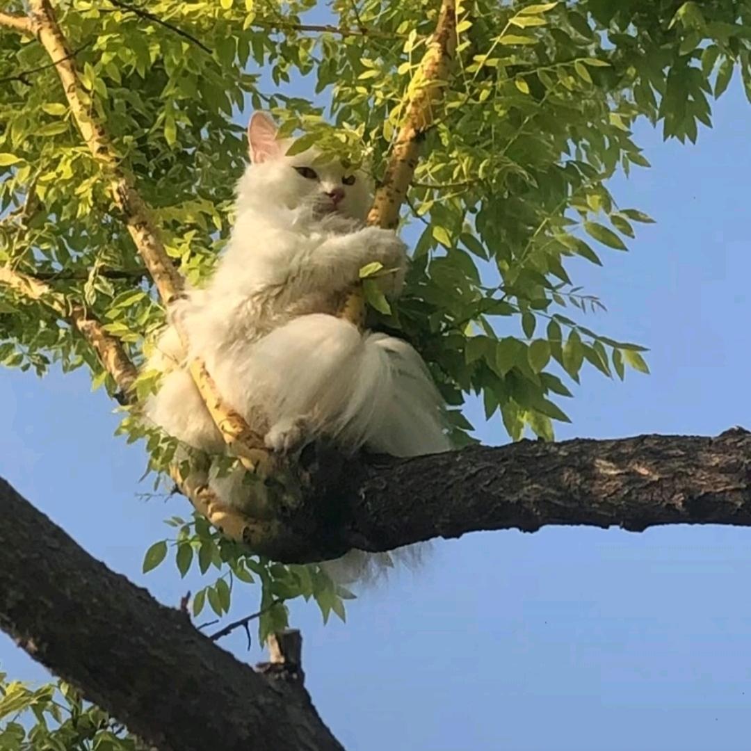 xixixi头像