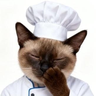 🐈一只摩卡