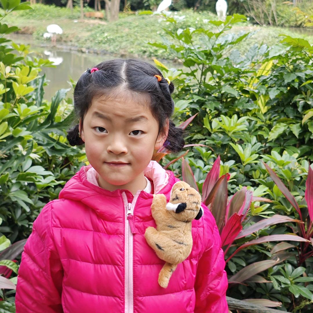 手机用户84911697334