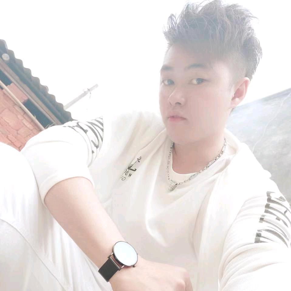 杨公子