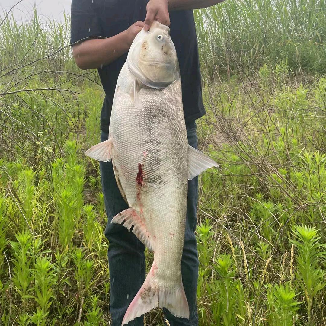 浪里小白条🎣