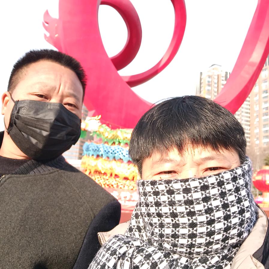 游龙戏凤