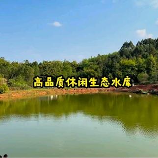 FAC丝房水库（花花草鱼多）
