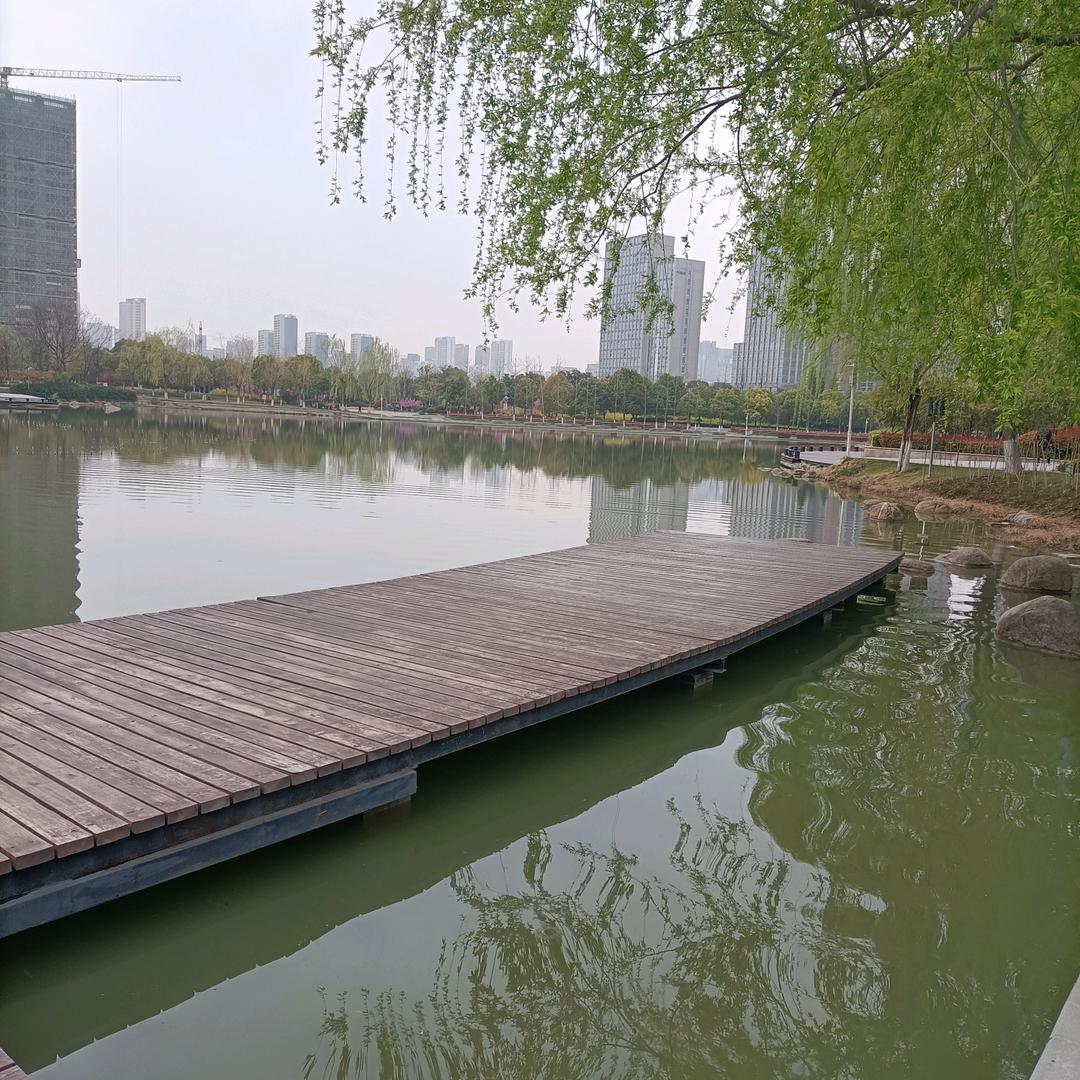 杨姐吖