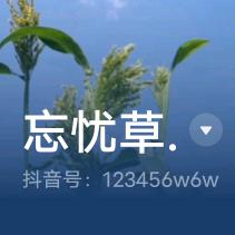 忘忧草.