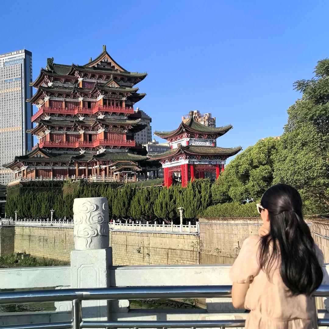 紫藤萝