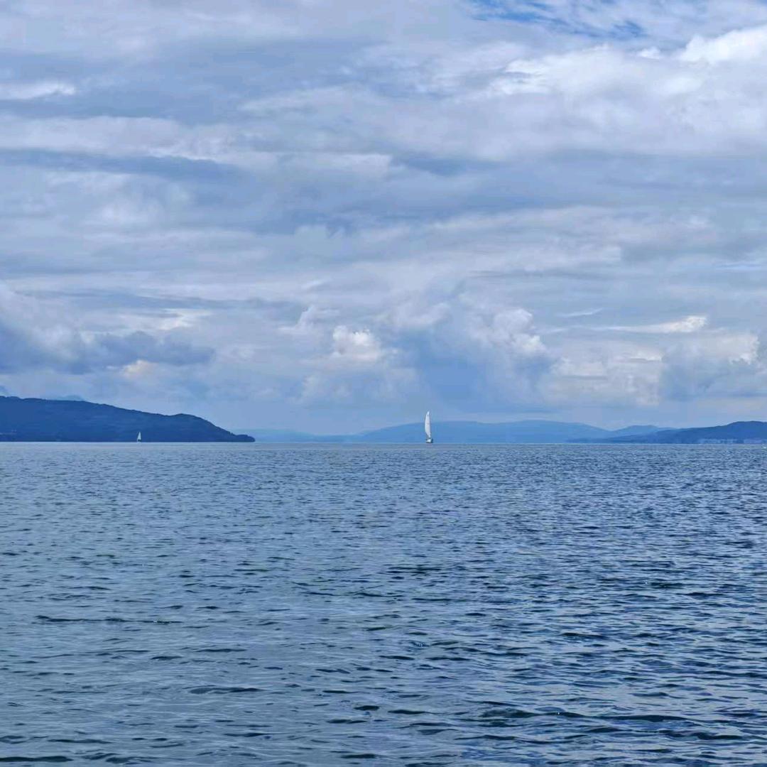 🍊🍊🍊🍊🍊🍊