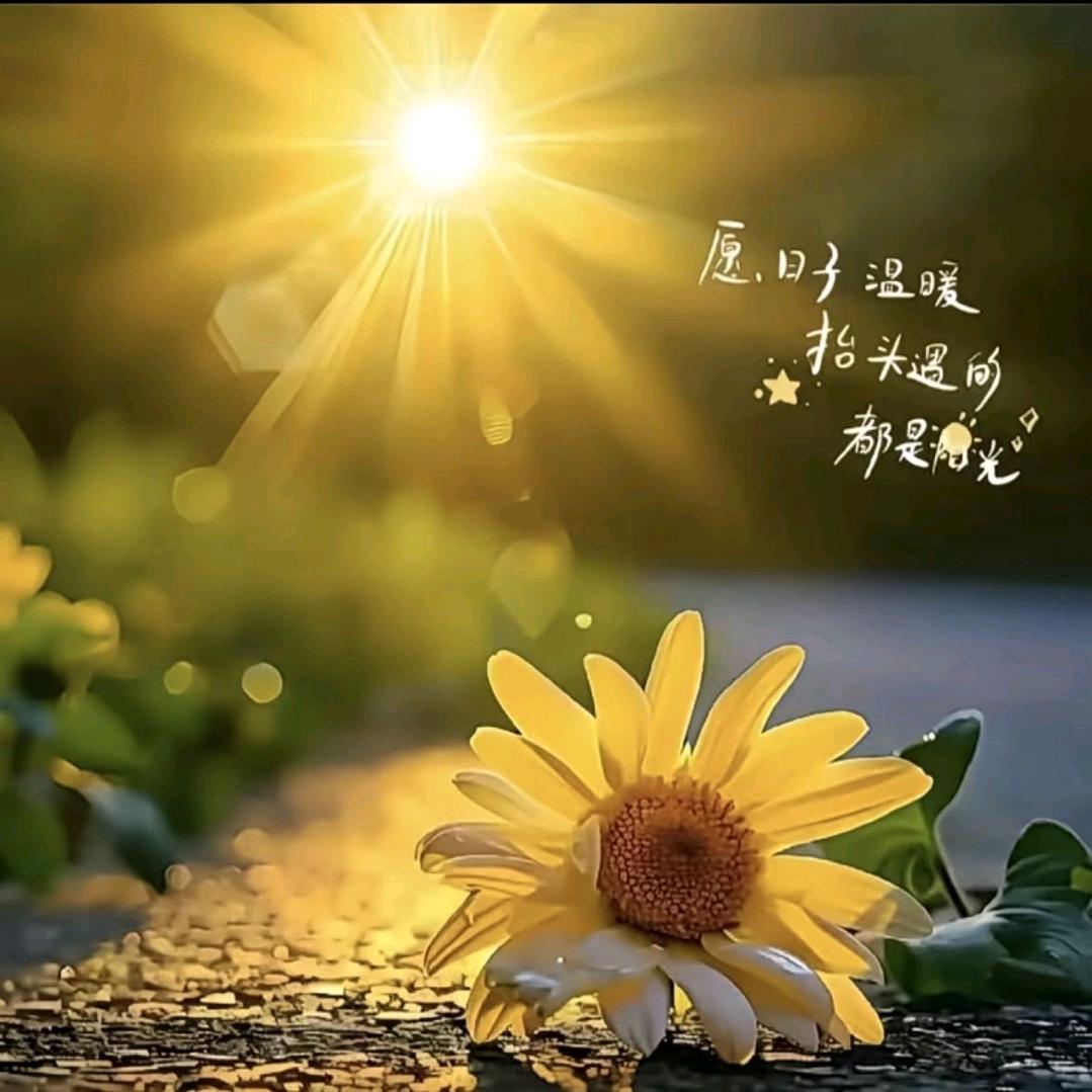 @李木子