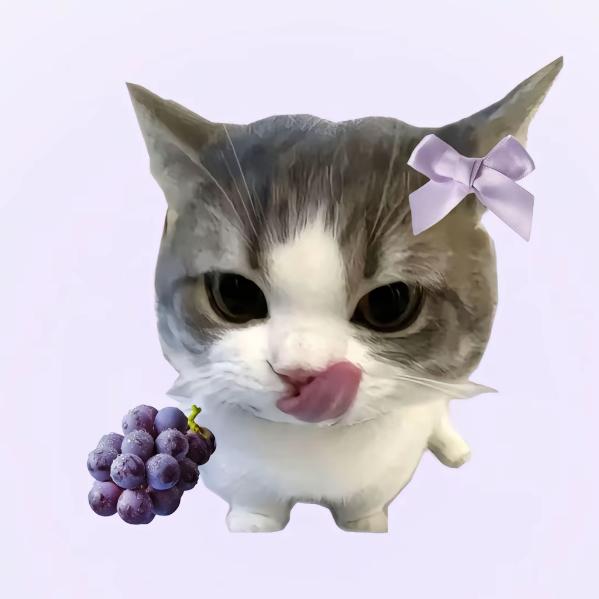 ▶ ||ı|ı|lı 5＂