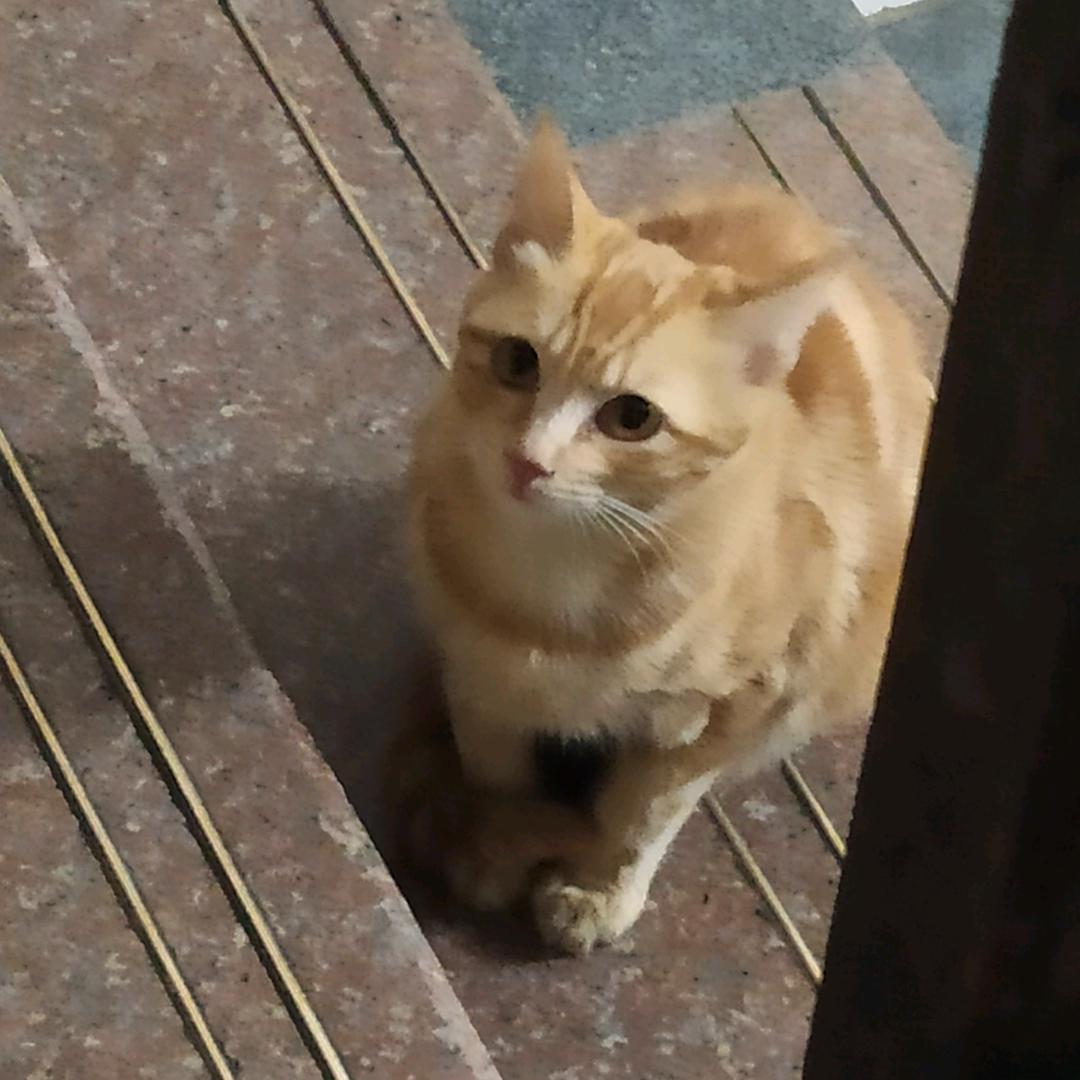 唯恐不乱