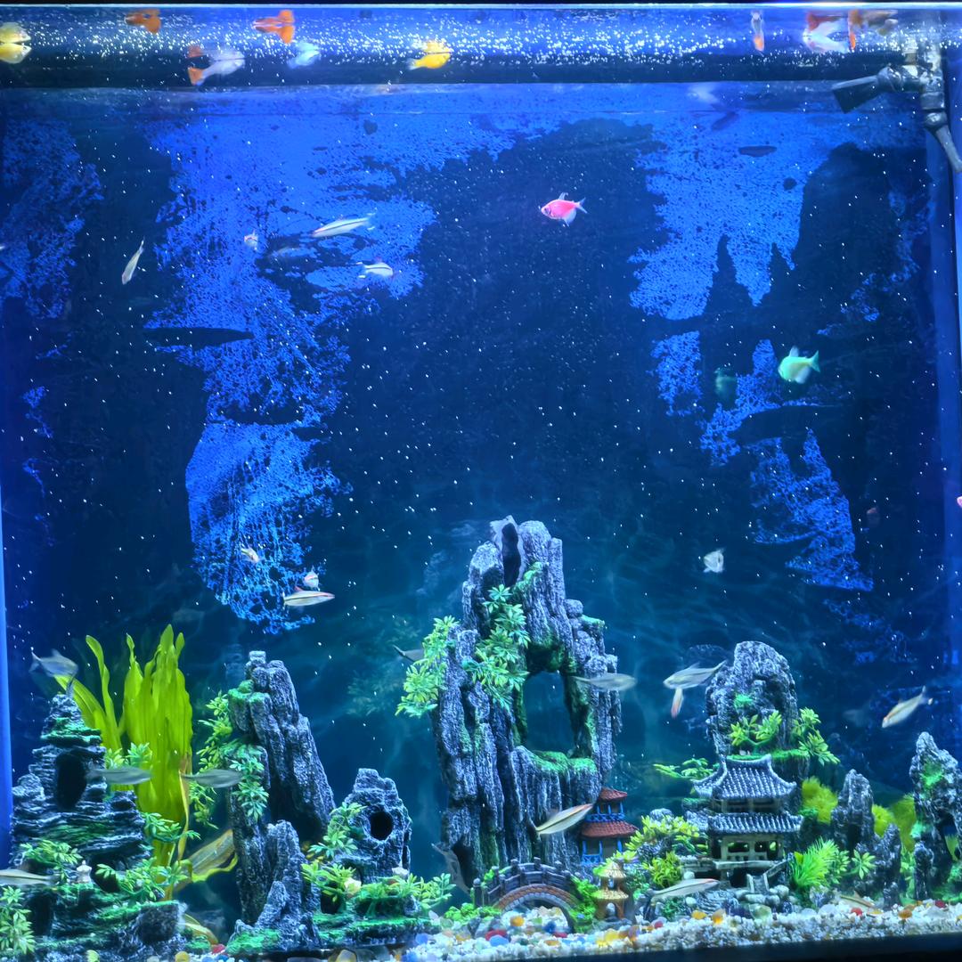 龙则灵