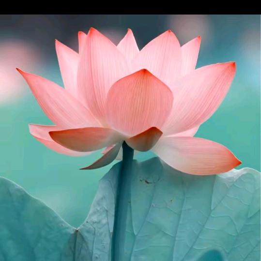 偉億傢朲