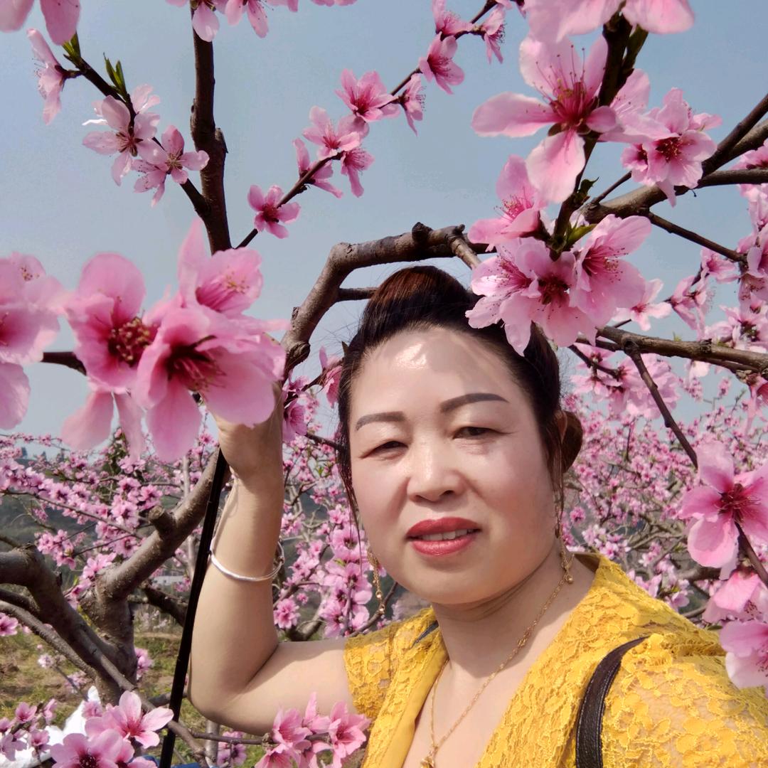 小姨