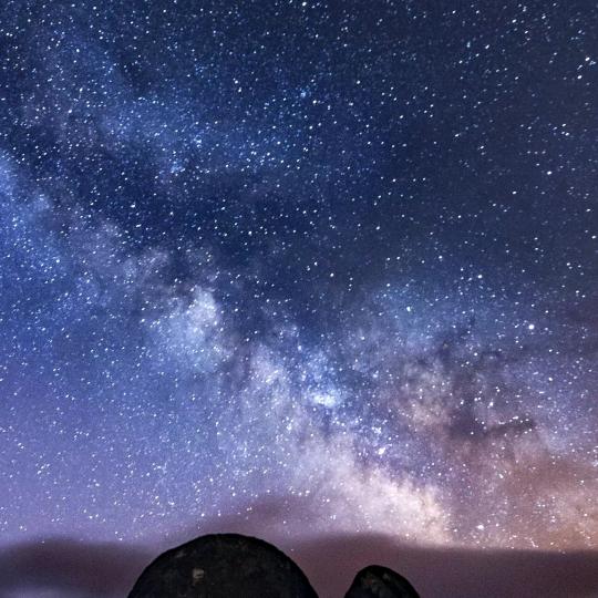 网络街溜子