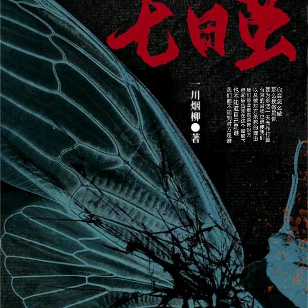 幽魂猫11