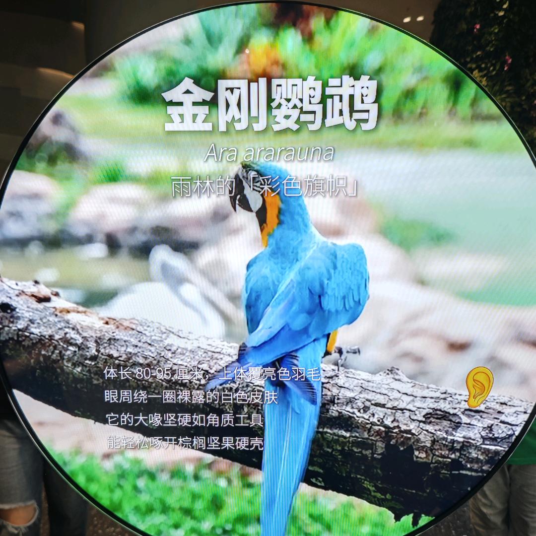 珍惜眼前人