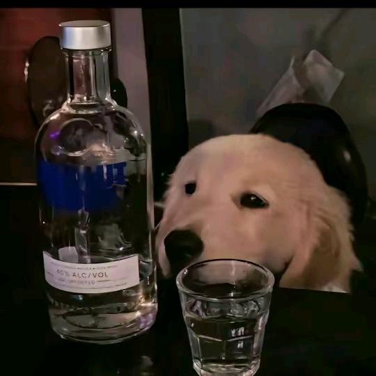 晚秋