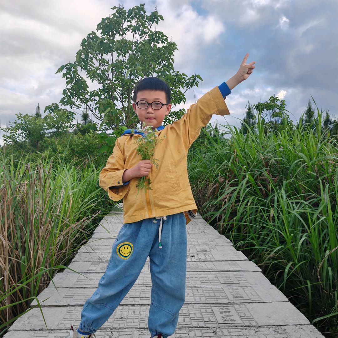 风雨（丰羽）历程