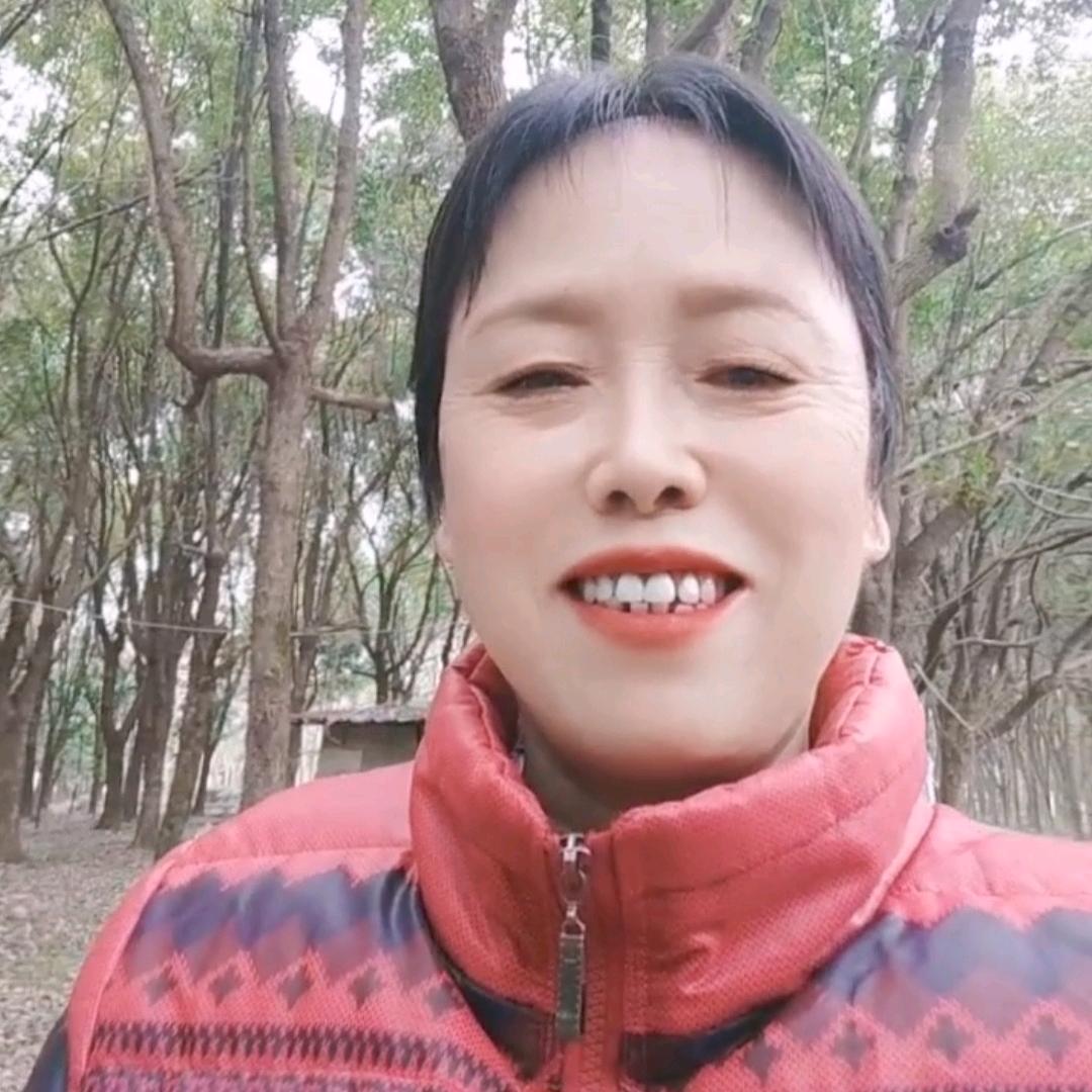 陈小凤
