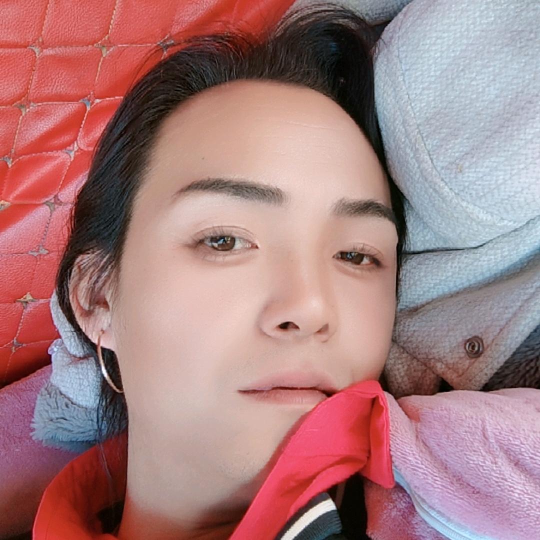 专业小麦大豆水稻玉米收割