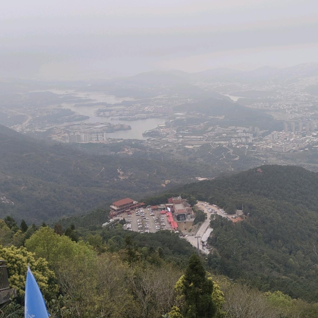 舞渡游藕