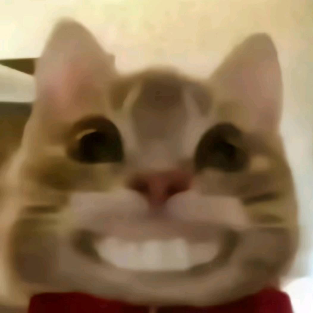 藏翁酒