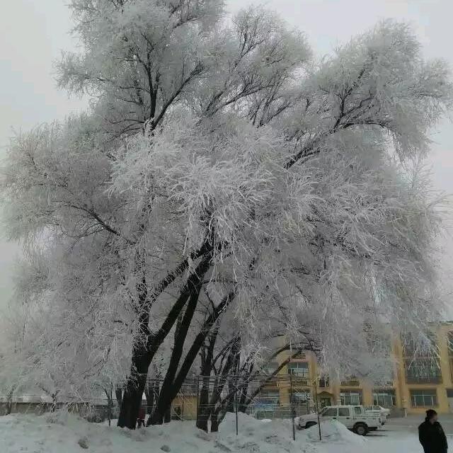八零后