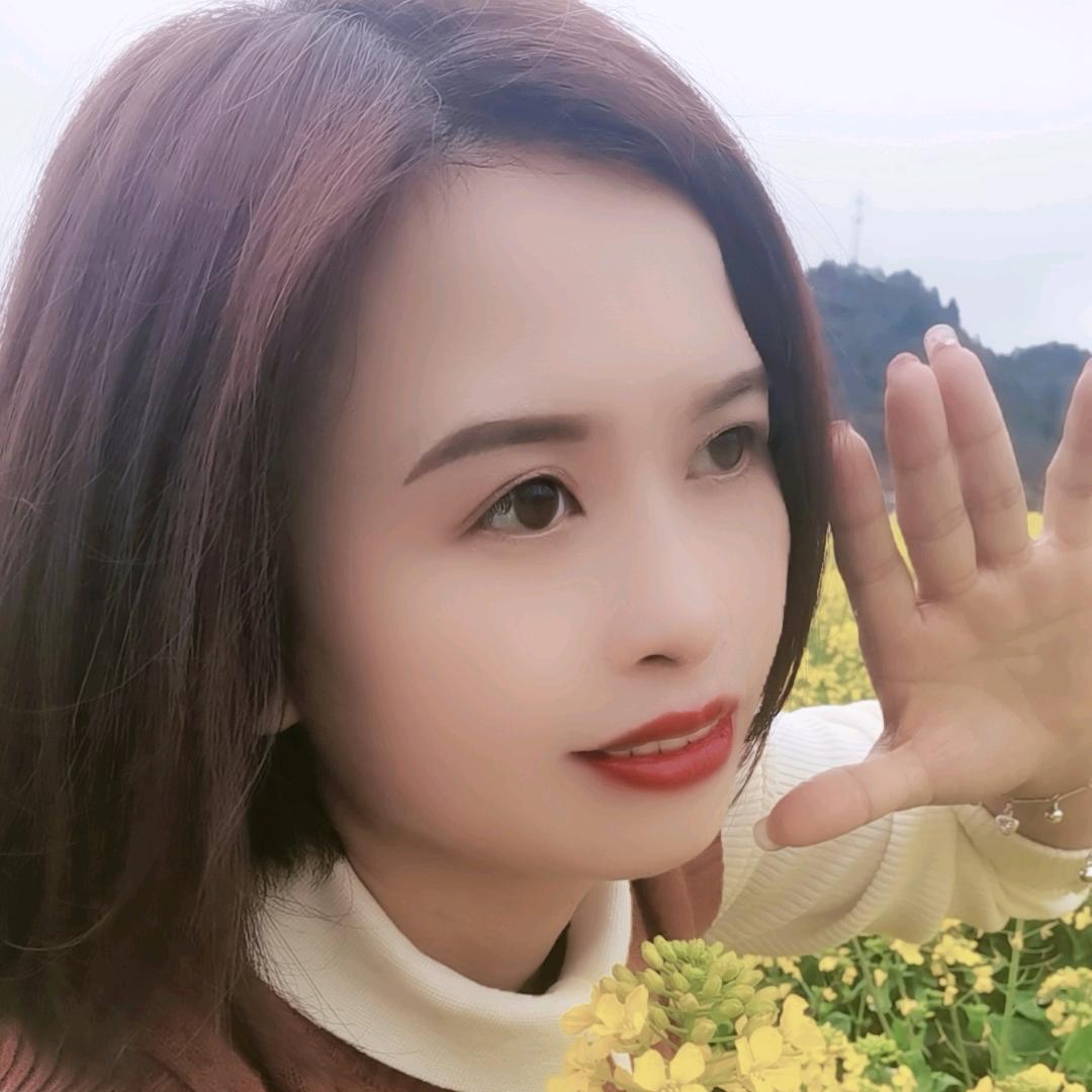 摩尔登免洗窗帘～燕子