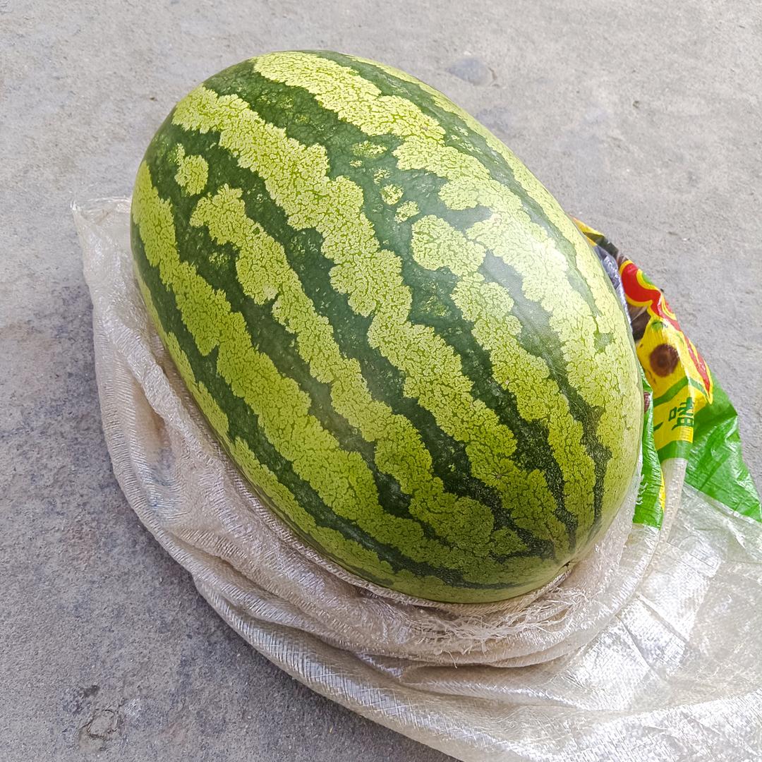 鸿运当头绵儿