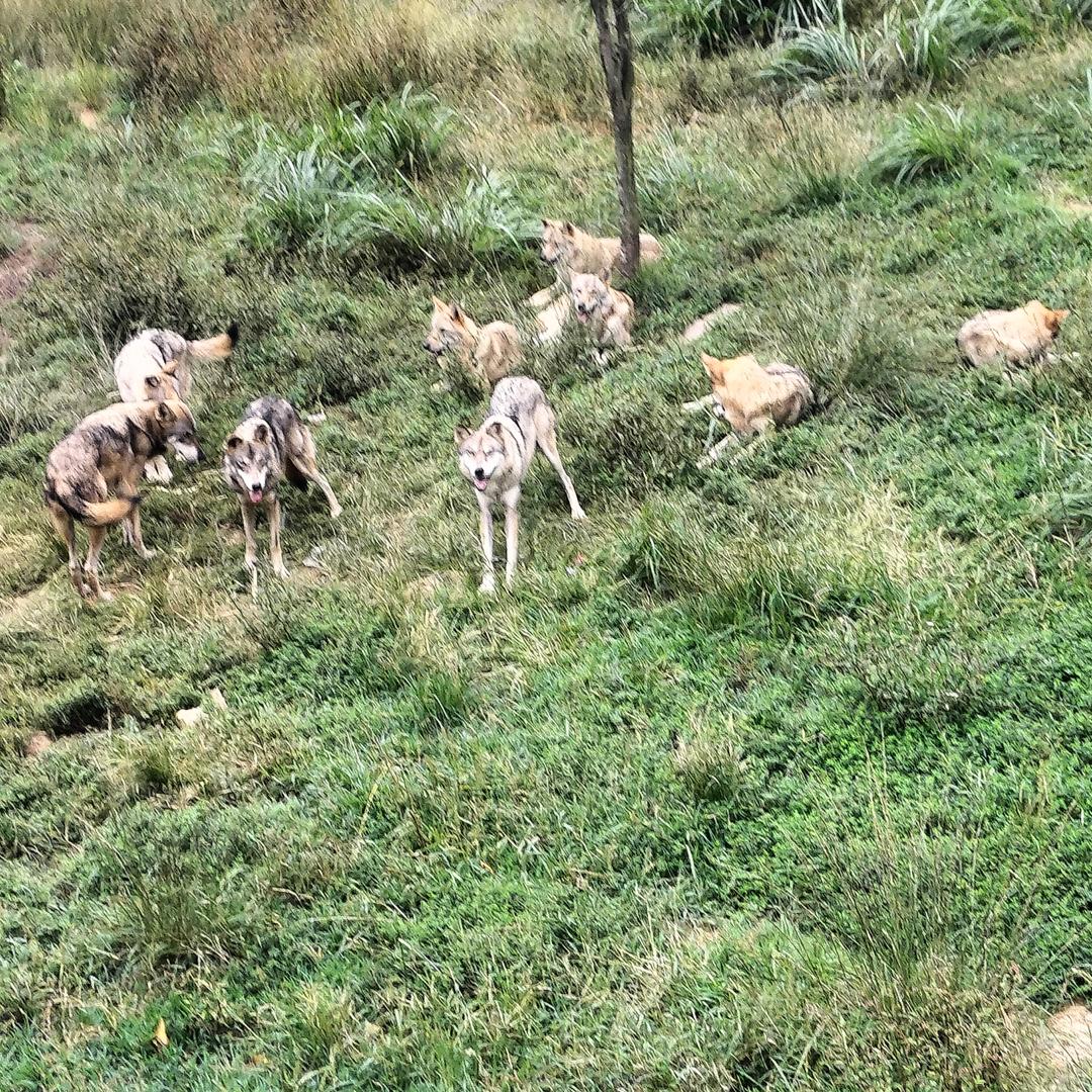 月月👩🏼‍🌾