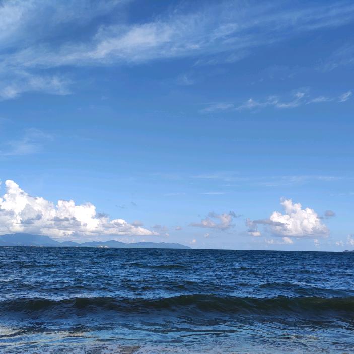 飞鱼sea