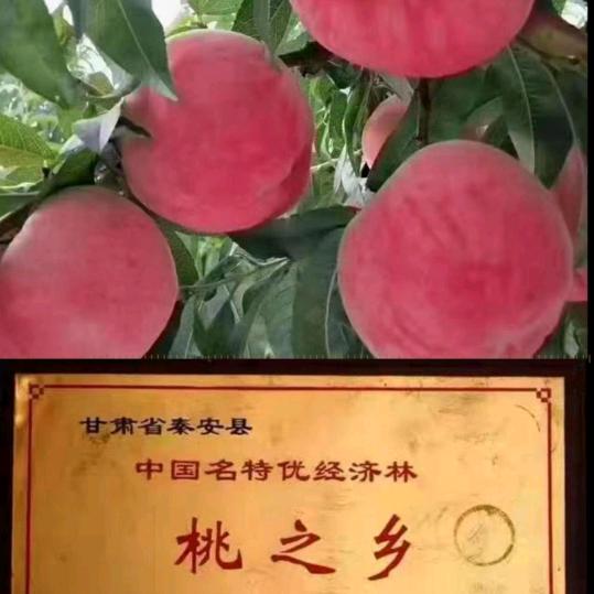 秦安蜜桃