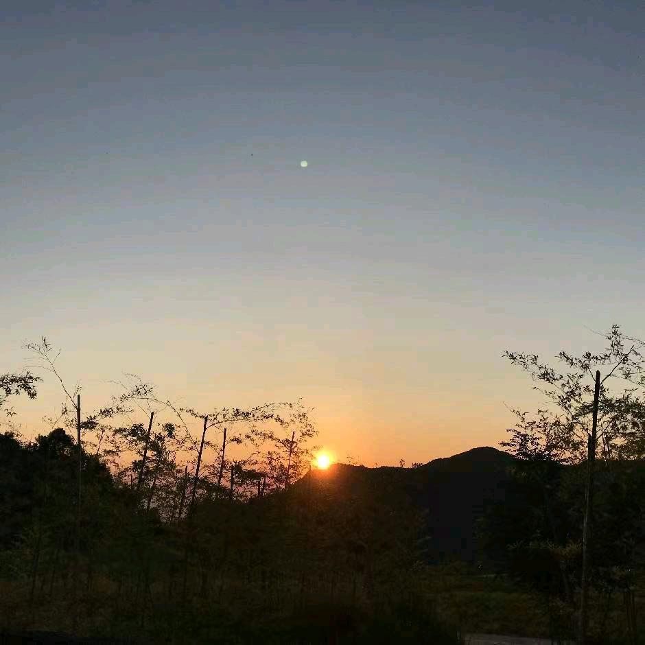 漳州吴老师（物理）