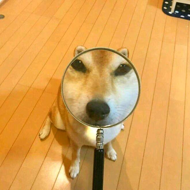 玄圭