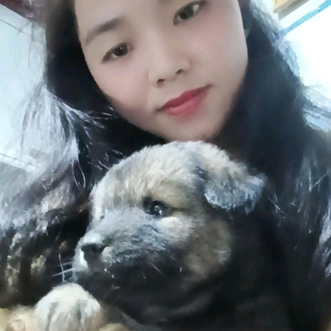 无意间闯入的精灵