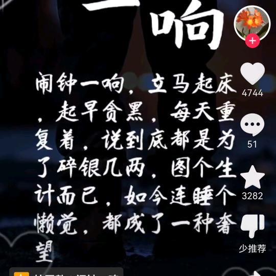 用户1986