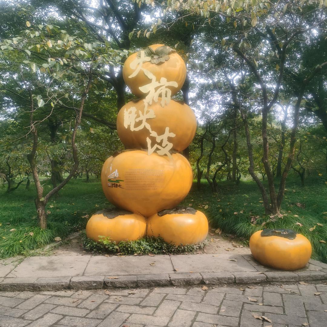 湖南人在宁波做水产-宾宾