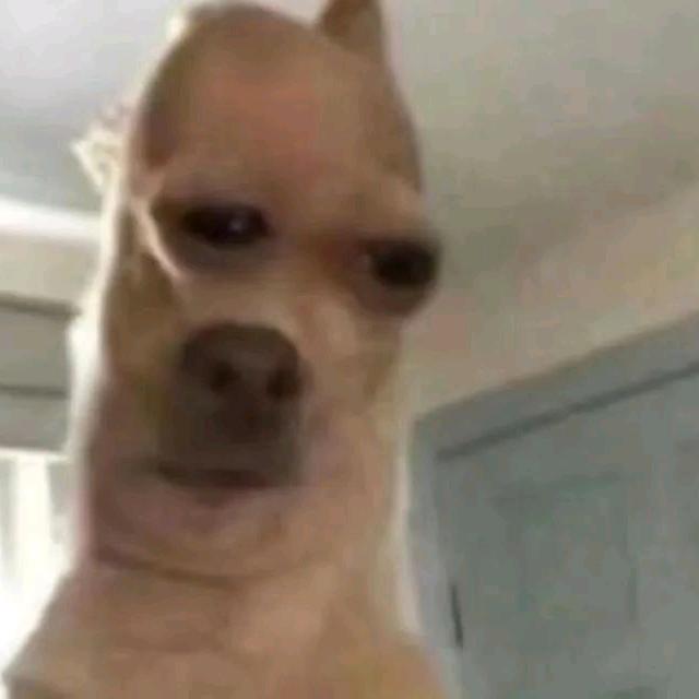 看月