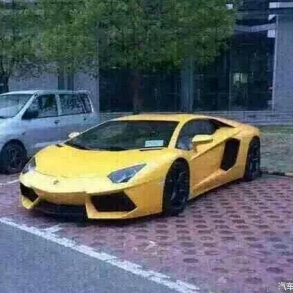 那时花开人已在