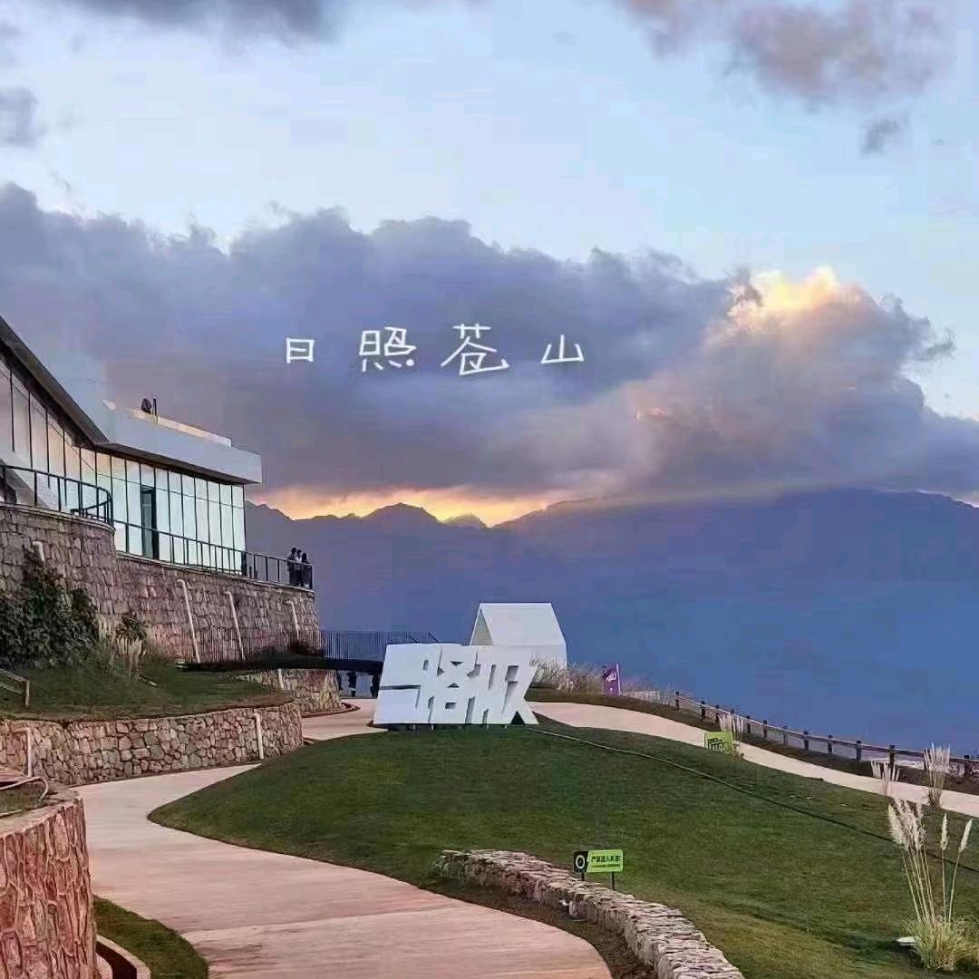 情感女主