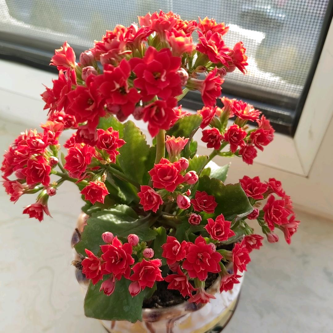 沐浴春风