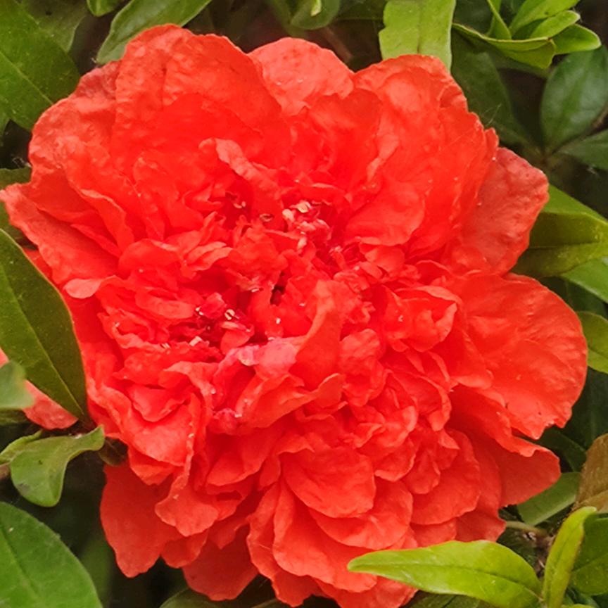 马家姑娘ƪ(˘⌣˘)ʃ