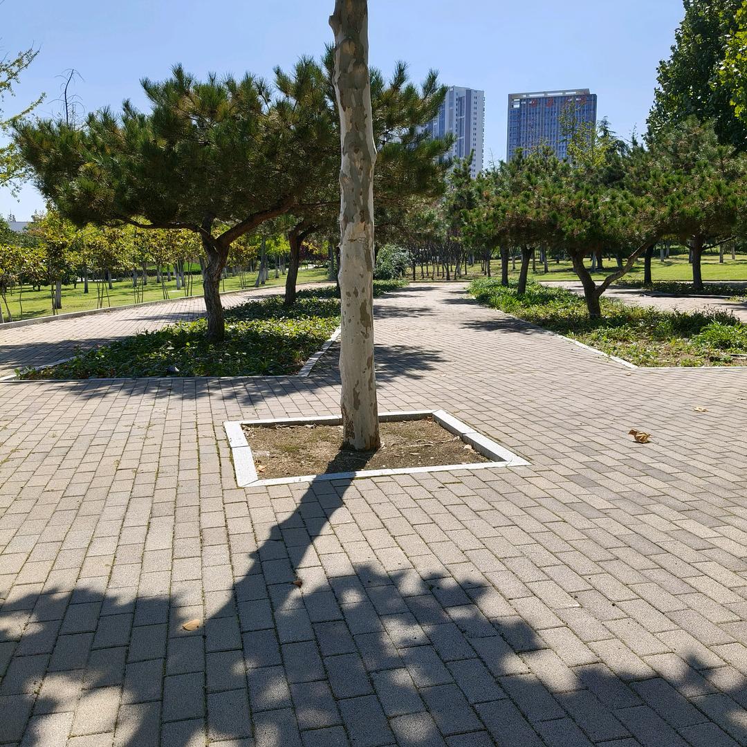 爱听歌的爷爷