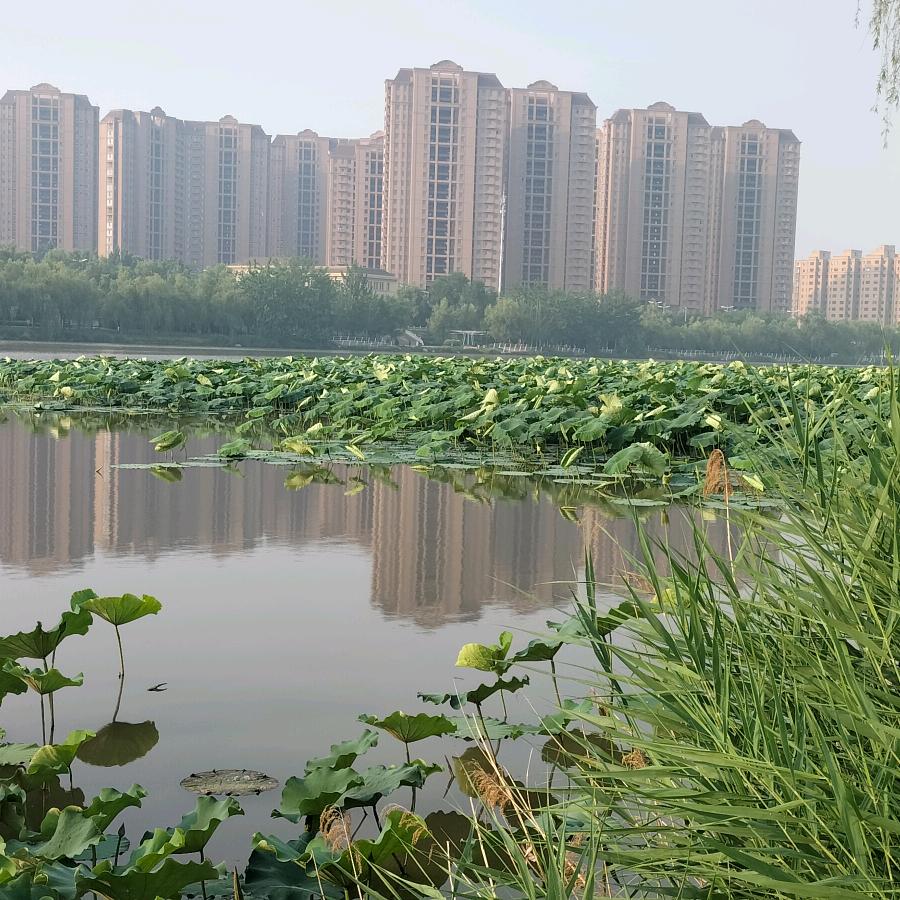 德泽福润